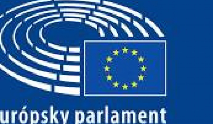 Fotka - Voľby do Europarlamentu