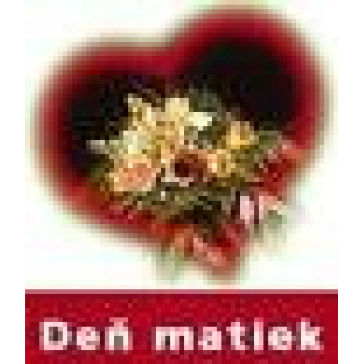 Pozvanie na oslavu Dňa matiek